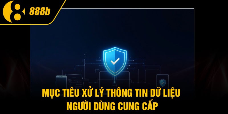 Mục tiêu xử lý thông tin dữ liệu người dùng cung cấp