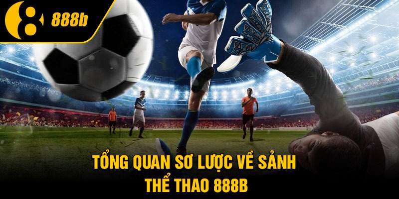 Tổng quan sơ lược về sảnh thể thao 888B