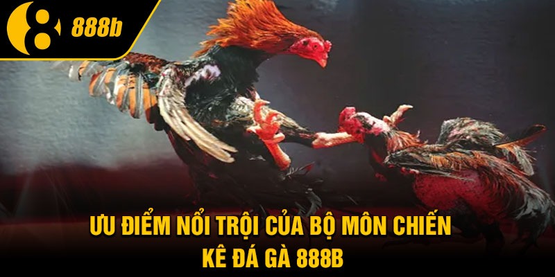 Ưu điểm nổi trội của bộ môn chiến kê đá gà 888B