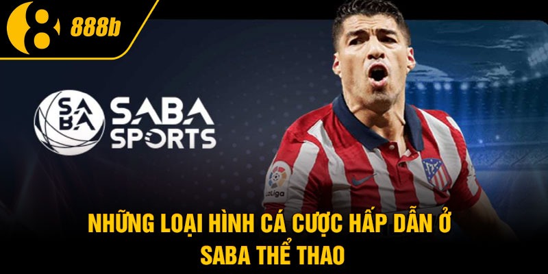 Những loại hình cá cược hấp dẫn ở Saba thể thao